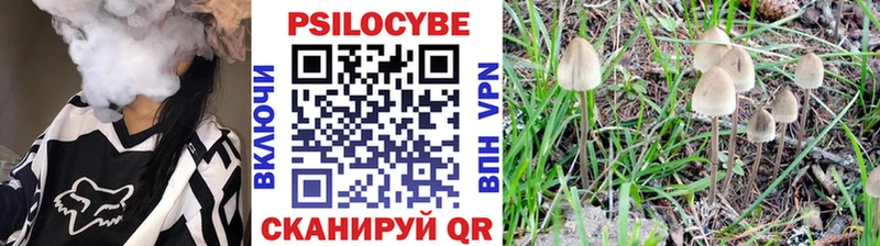 Псилоцибиновые грибы ЛСД цены Альметьевск